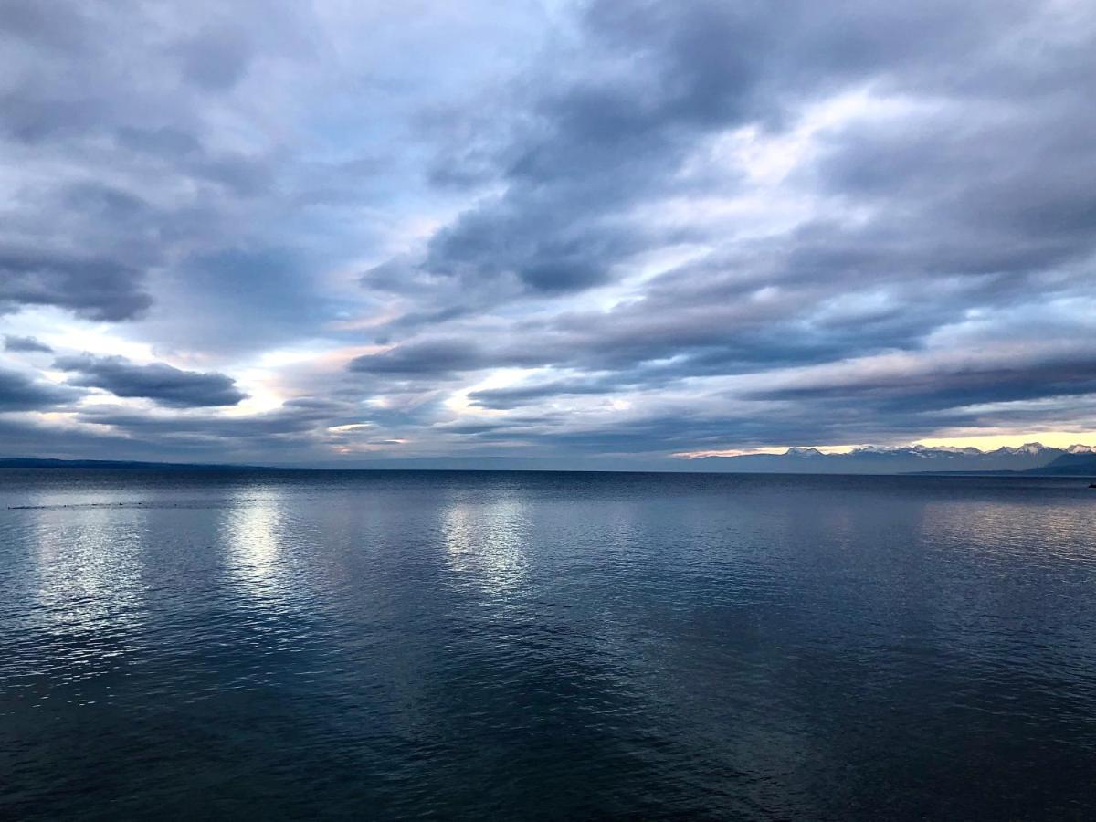 A Room With A View - Maisonnette Dans Bourg Medieval Au Bord Du Lac Leman イヴォワール エクステリア 写真