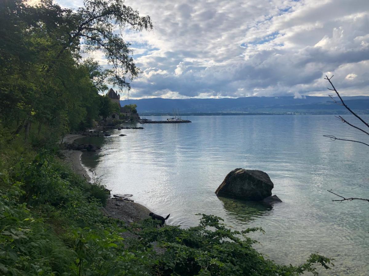 A Room With A View - Maisonnette Dans Bourg Medieval Au Bord Du Lac Leman イヴォワール エクステリア 写真
